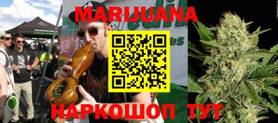 гидра Дубна