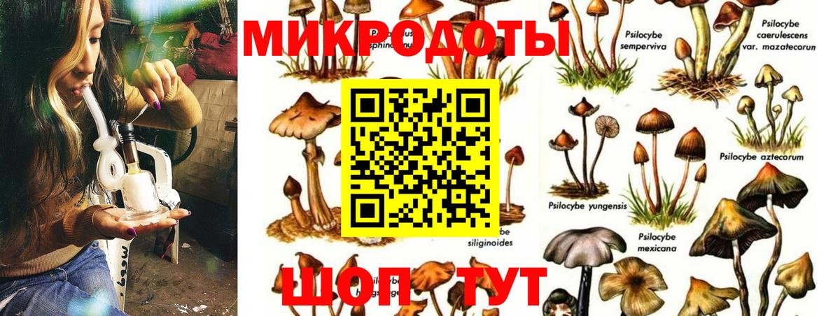 Галлюциногенные грибы мухоморы  Вход с VPN  Кунгур 