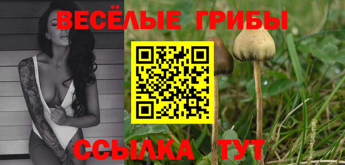 Галлюциногенные грибы Magic Shrooms Кунгур